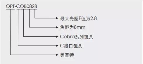 Z6尊龙·凯时(中国)人生就是搏！
